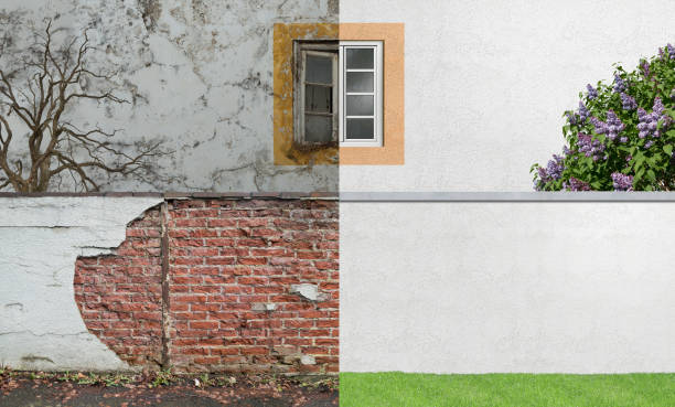 Best Emergency Mold Remediation  in Buffalo, SC